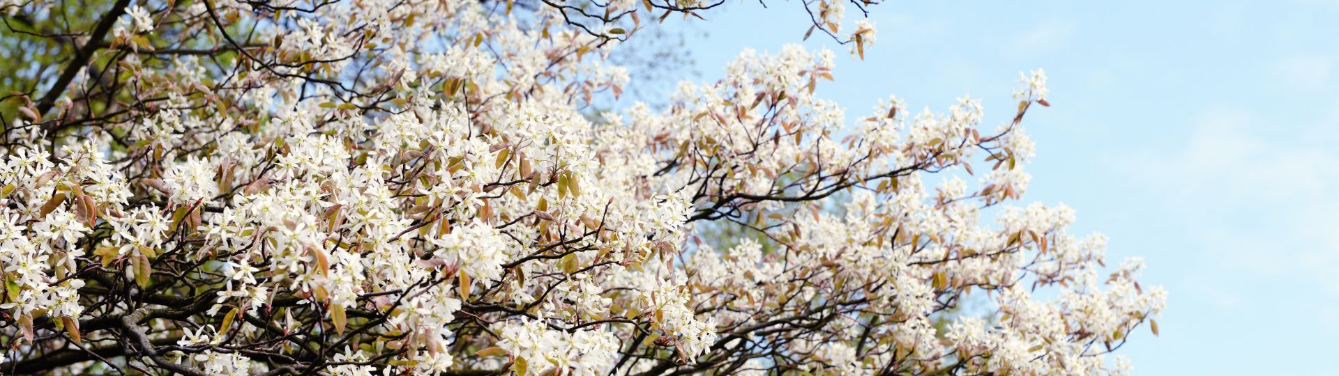 318-til lister (1920 × 540px) (36).jpg