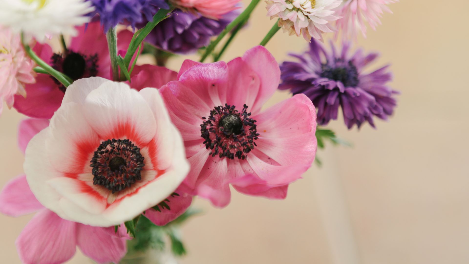 326-Billeder i mails og artikler (1920 × 1080px) (27).jpg