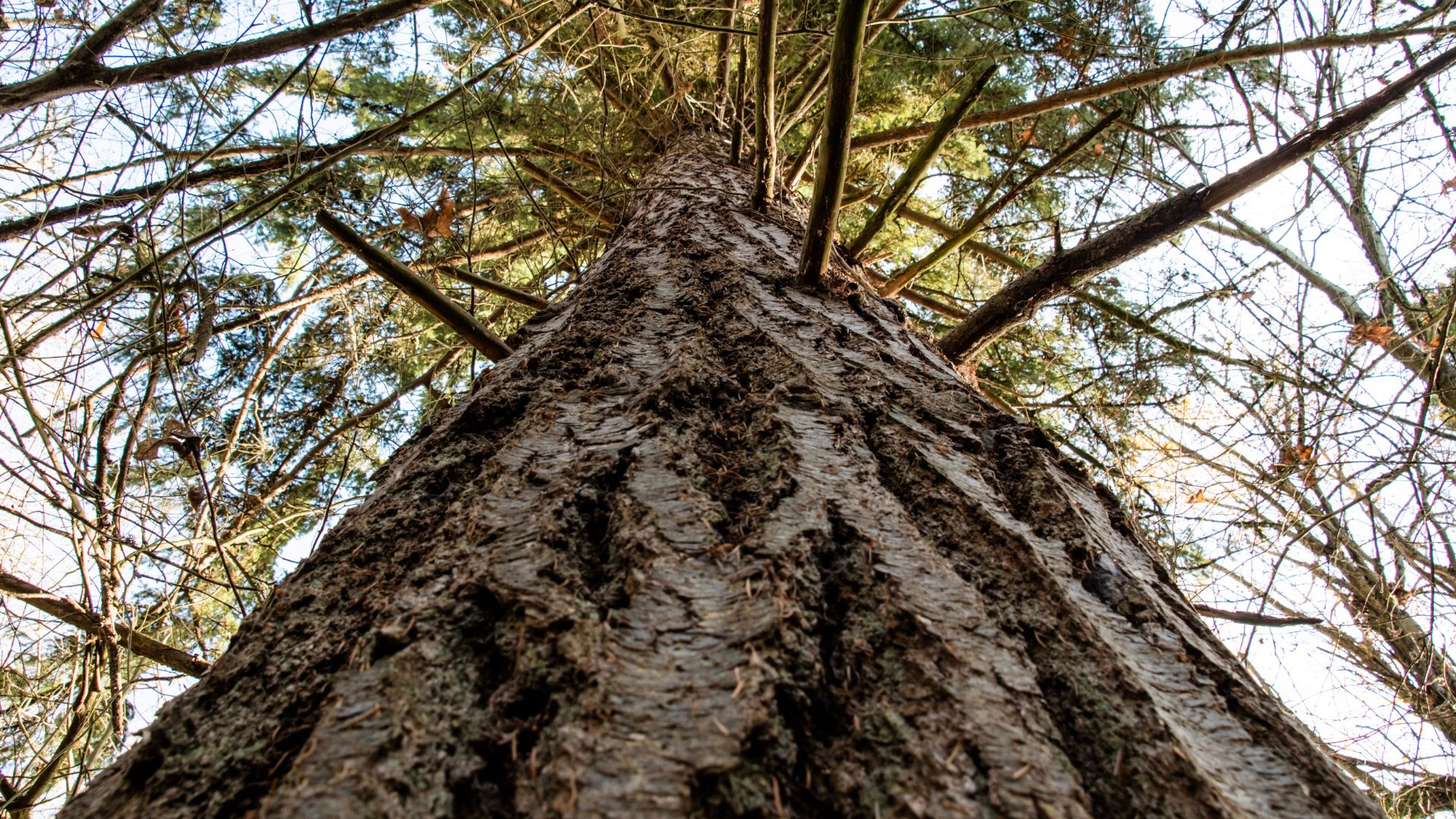 333-Billeder i mails og artikler (1920 × 1080px) (11).jpg