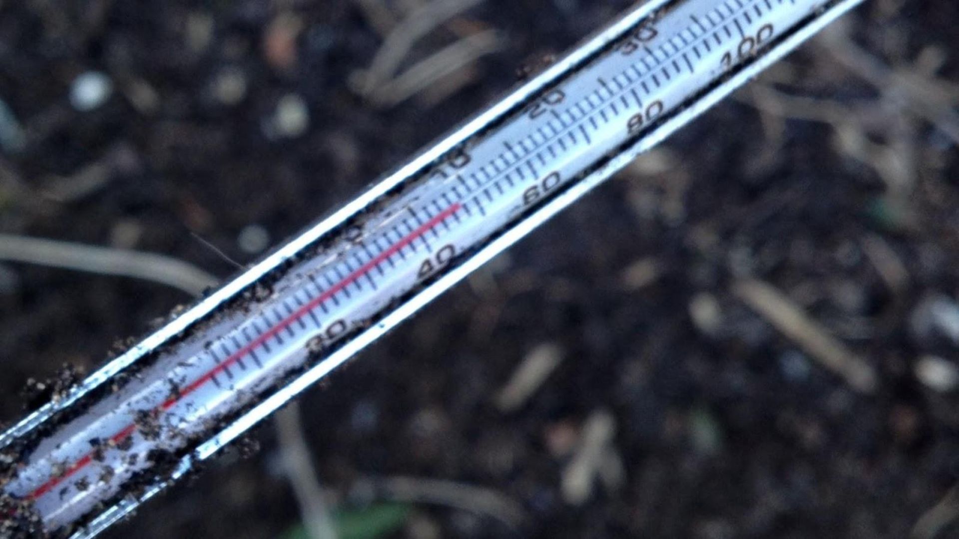 340-Billeder i mails og artikler (1920 × 1080px) - 2023-04-14T153134.418.jpg