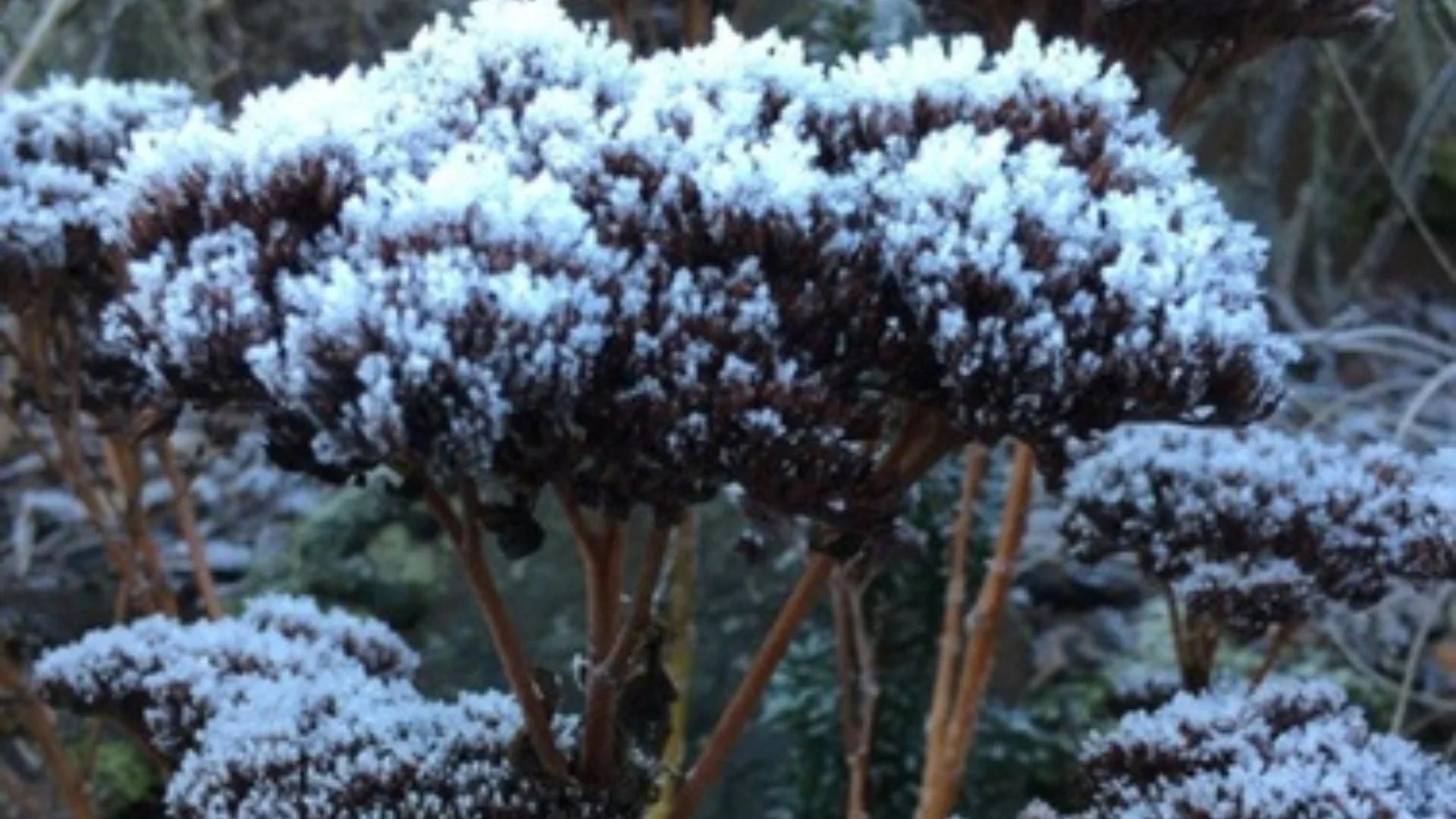 340-Billeder i mails og artikler (1920 × 1080px) - 2023-10-19T125123.015.jpg