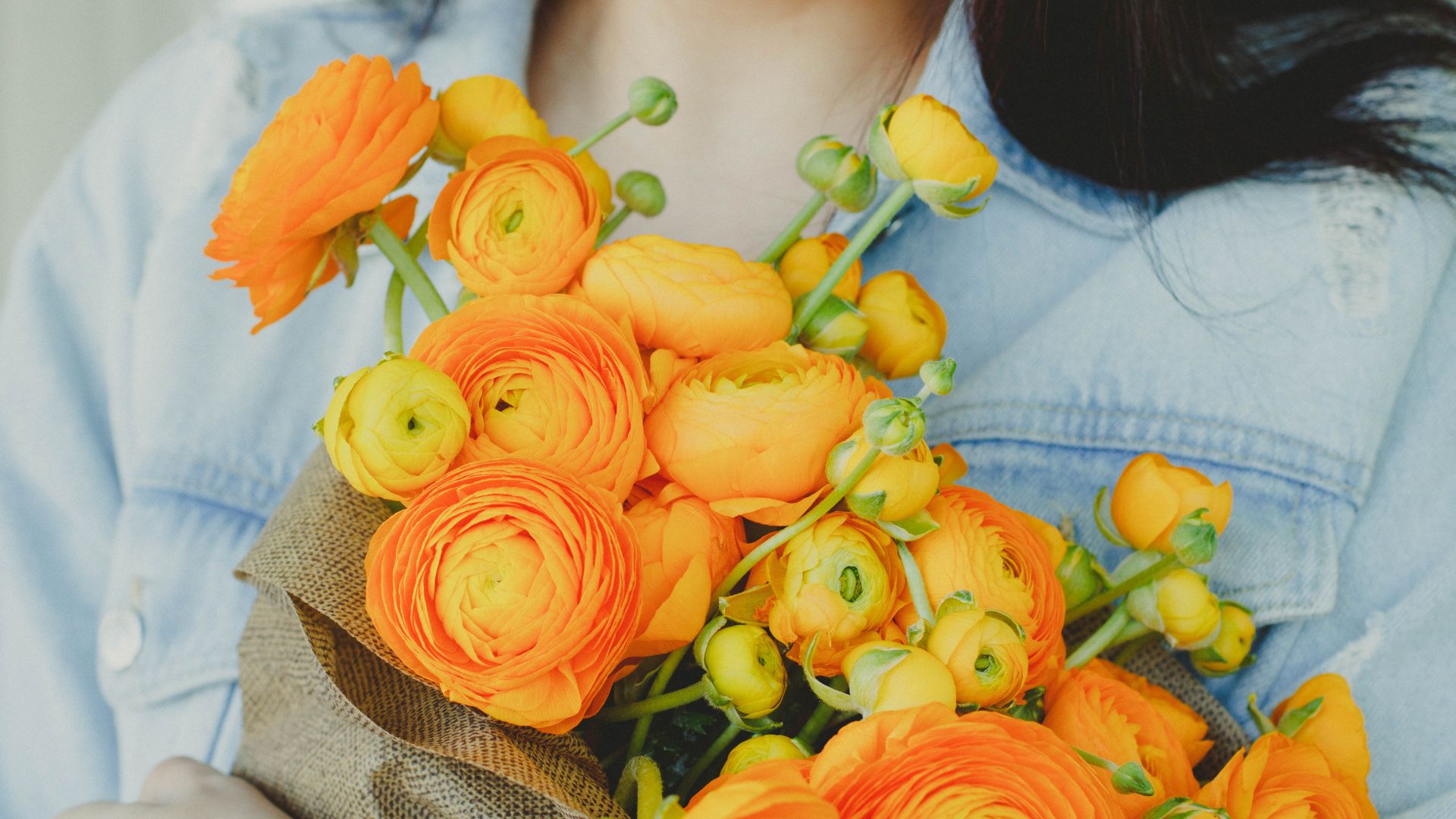 343-Billeder i mails og artikler (1920 × 1080px) (25).jpg