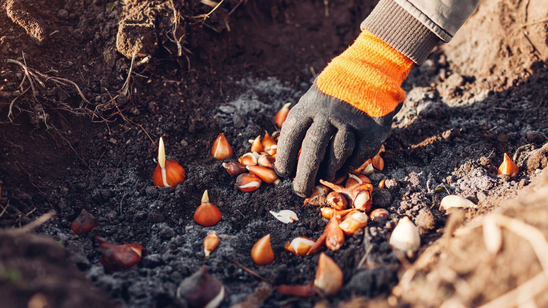 344-Billeder i mails og artikler (1920 × 1080px) (98).jpg