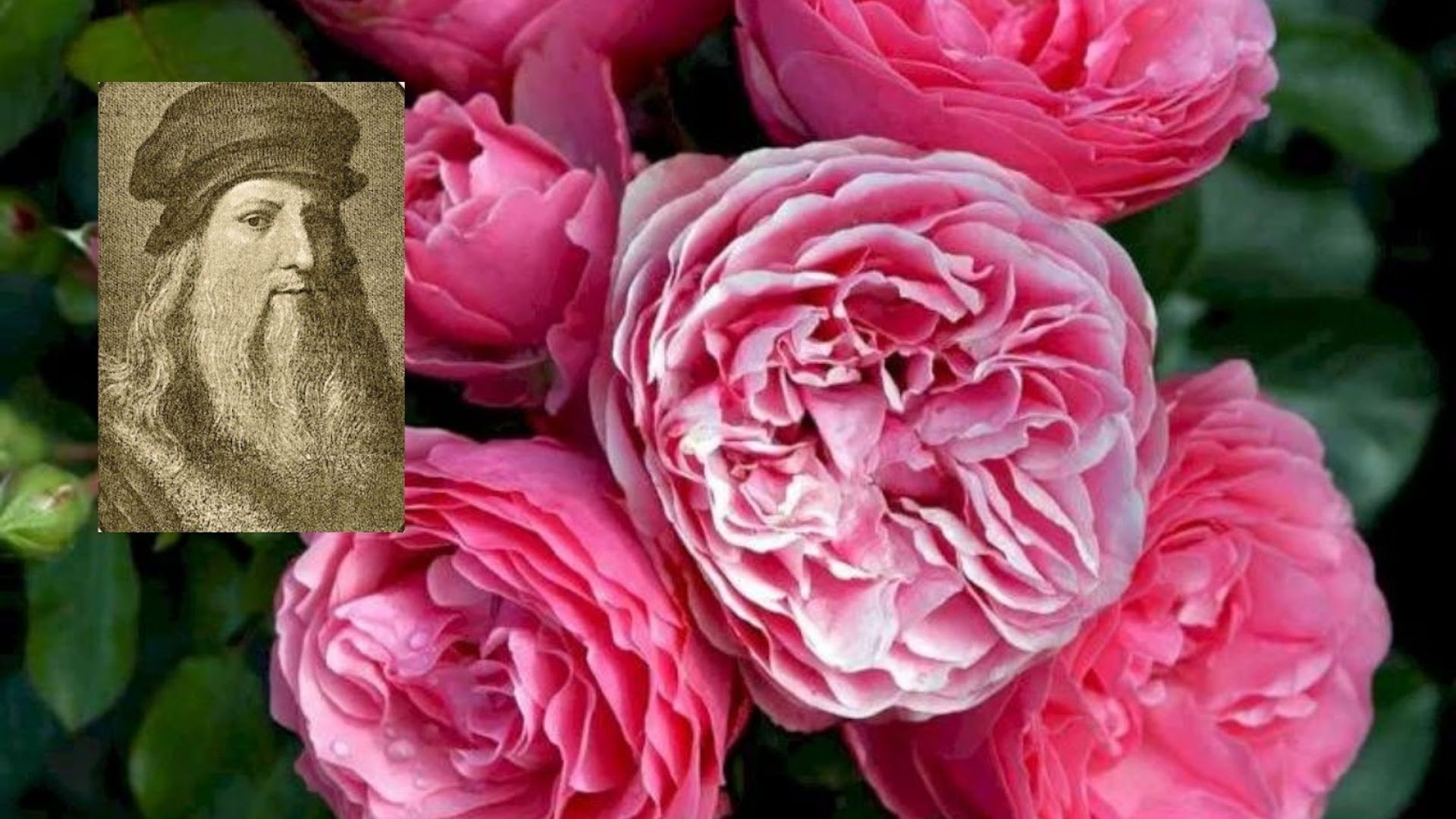 345-Billeder i mails og artikler (1920 × 1080px) (18).jpg