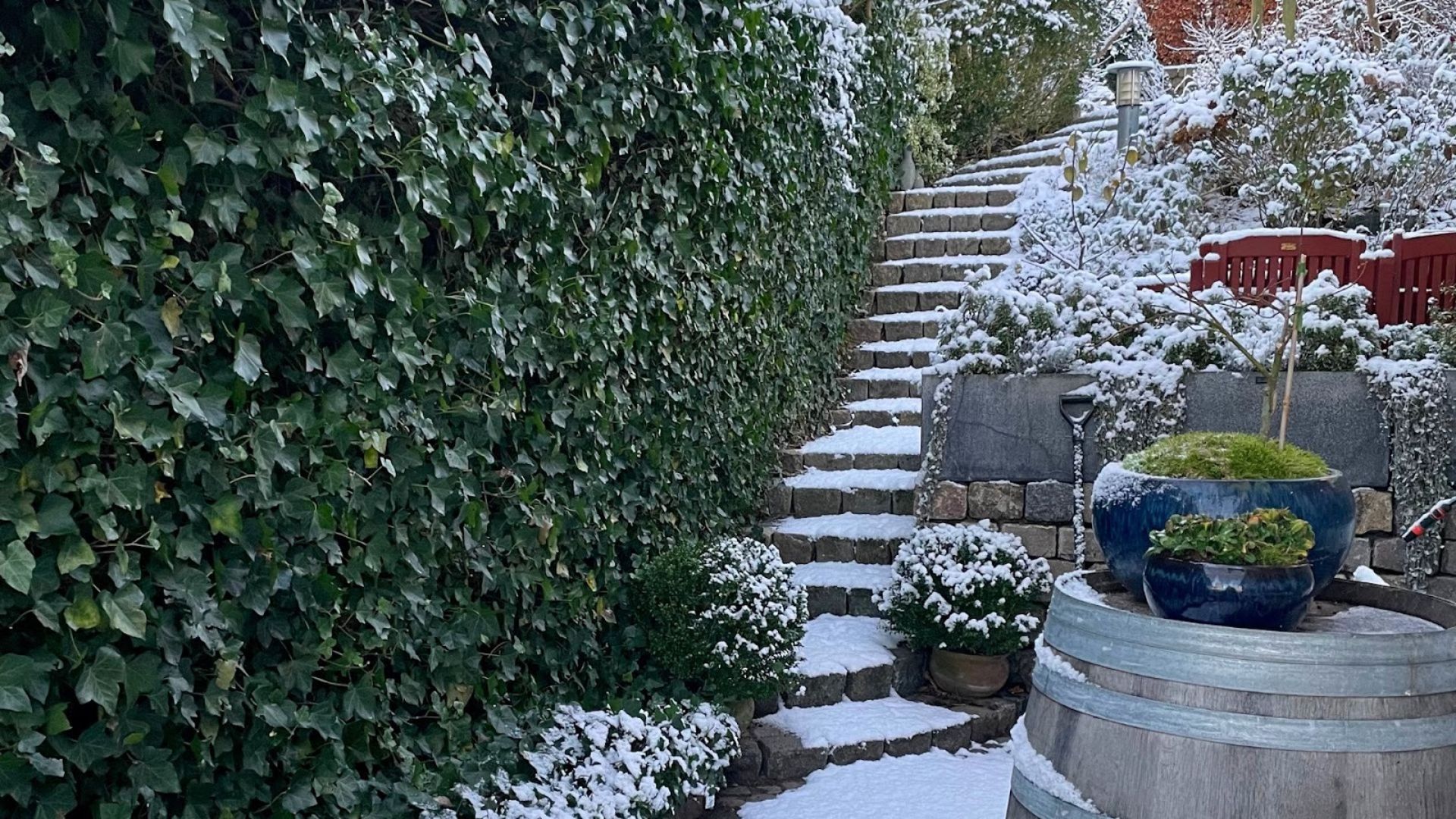 356-Billeder i mails og artikler (1920 × 1080px) (20).jpg