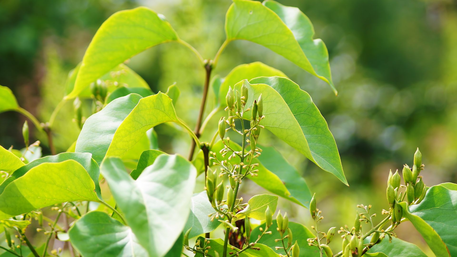 363-Billeder i mails og artikler (1920 × 1080px) - 2024-01-04T112505.884.jpg