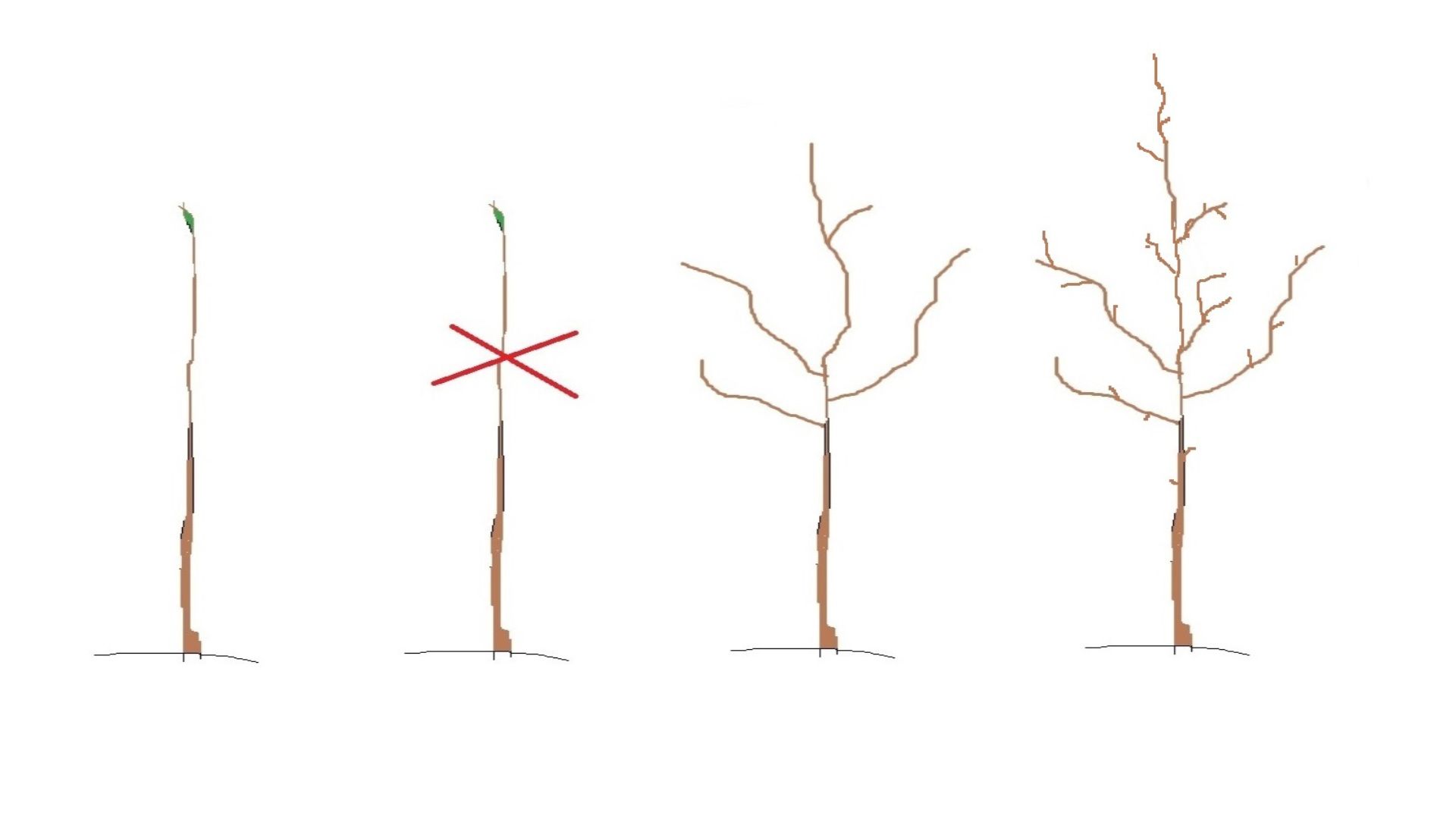 363-Billeder i mails og artikler (1920 × 1080px) - 2024-02-07T141641.824.jpg