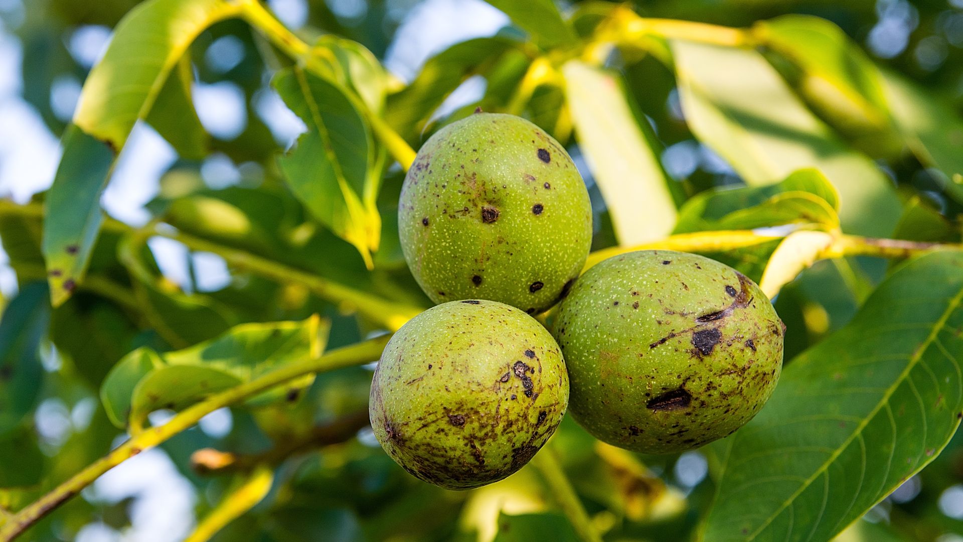 365-Billeder i mails og artikler (1920 × 1080px) - 2024-01-25T111725.287.jpg