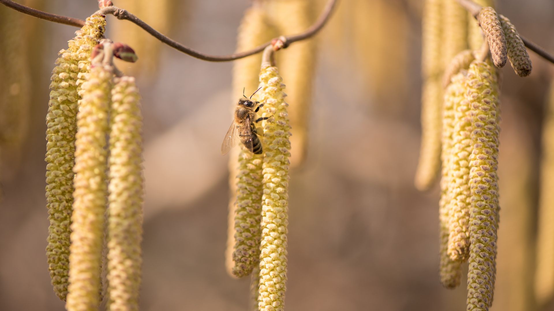 37-Billeder i mails og artikler (1920 × 1080px) - 2024-01-25T105825.912.jpg