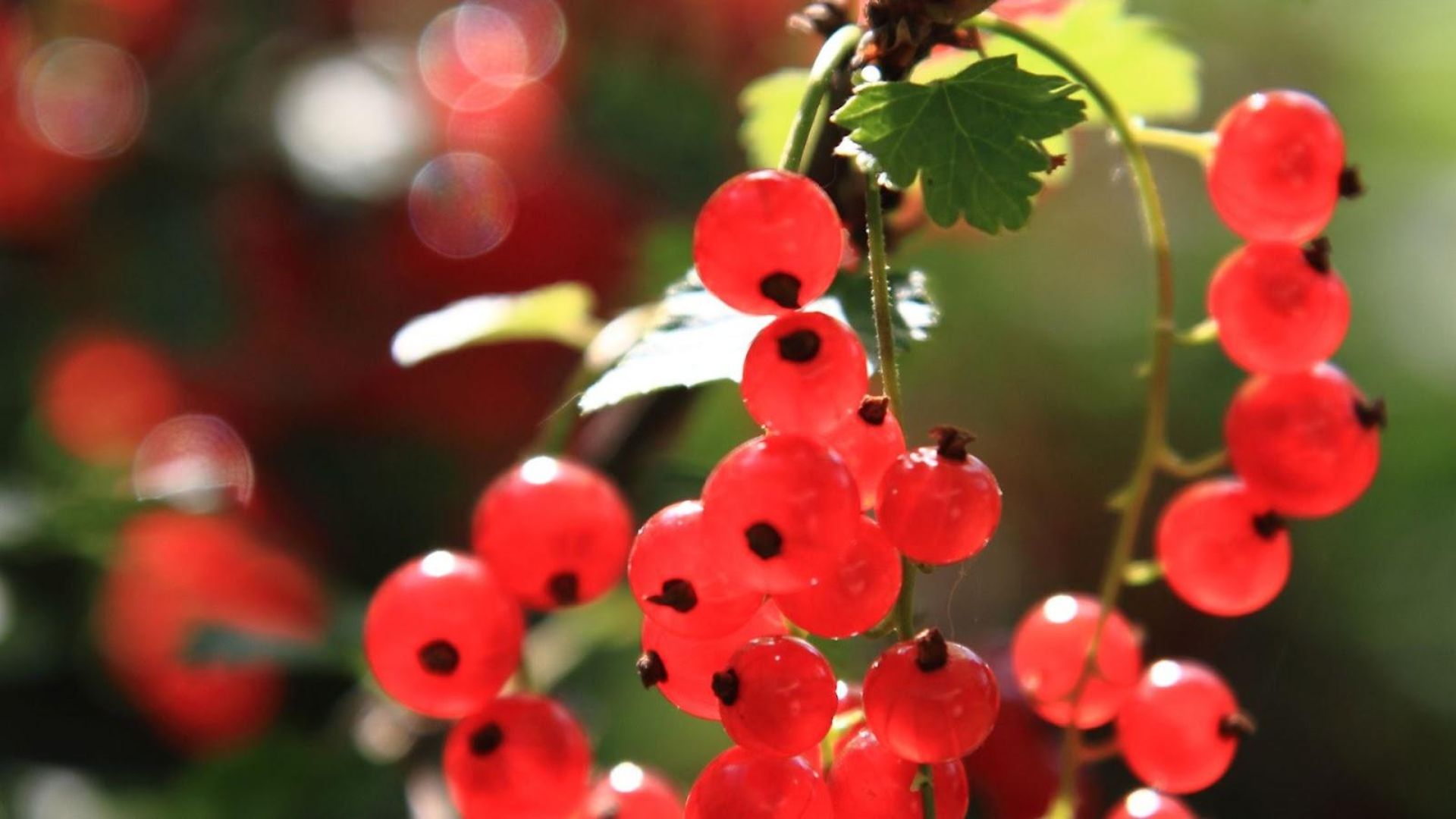 379-Billeder i mails og artikler (1920 × 1080px) (48).jpg