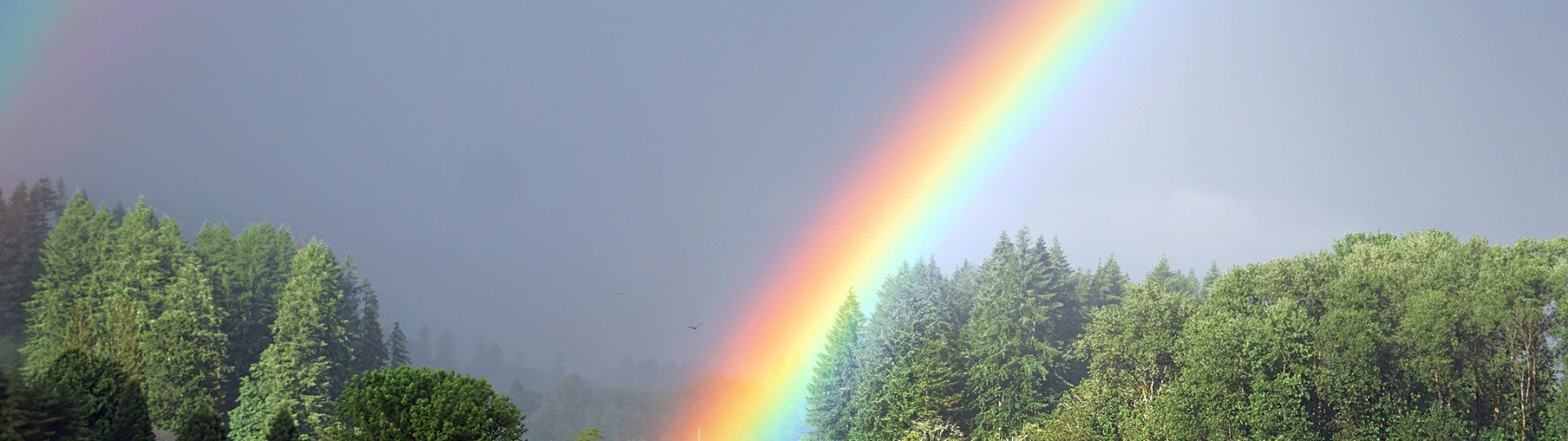 385-til lister (1920 × 540px) (88).jpg