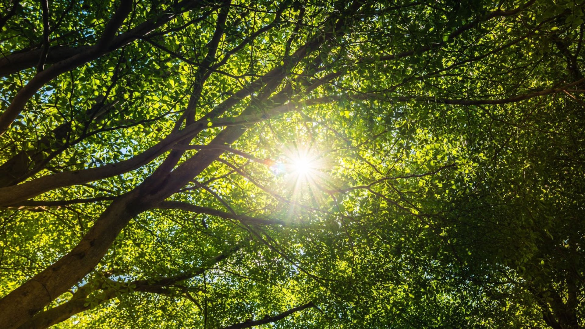 389-Billeder i mails og artikler (1920 × 1080px) (24).jpg