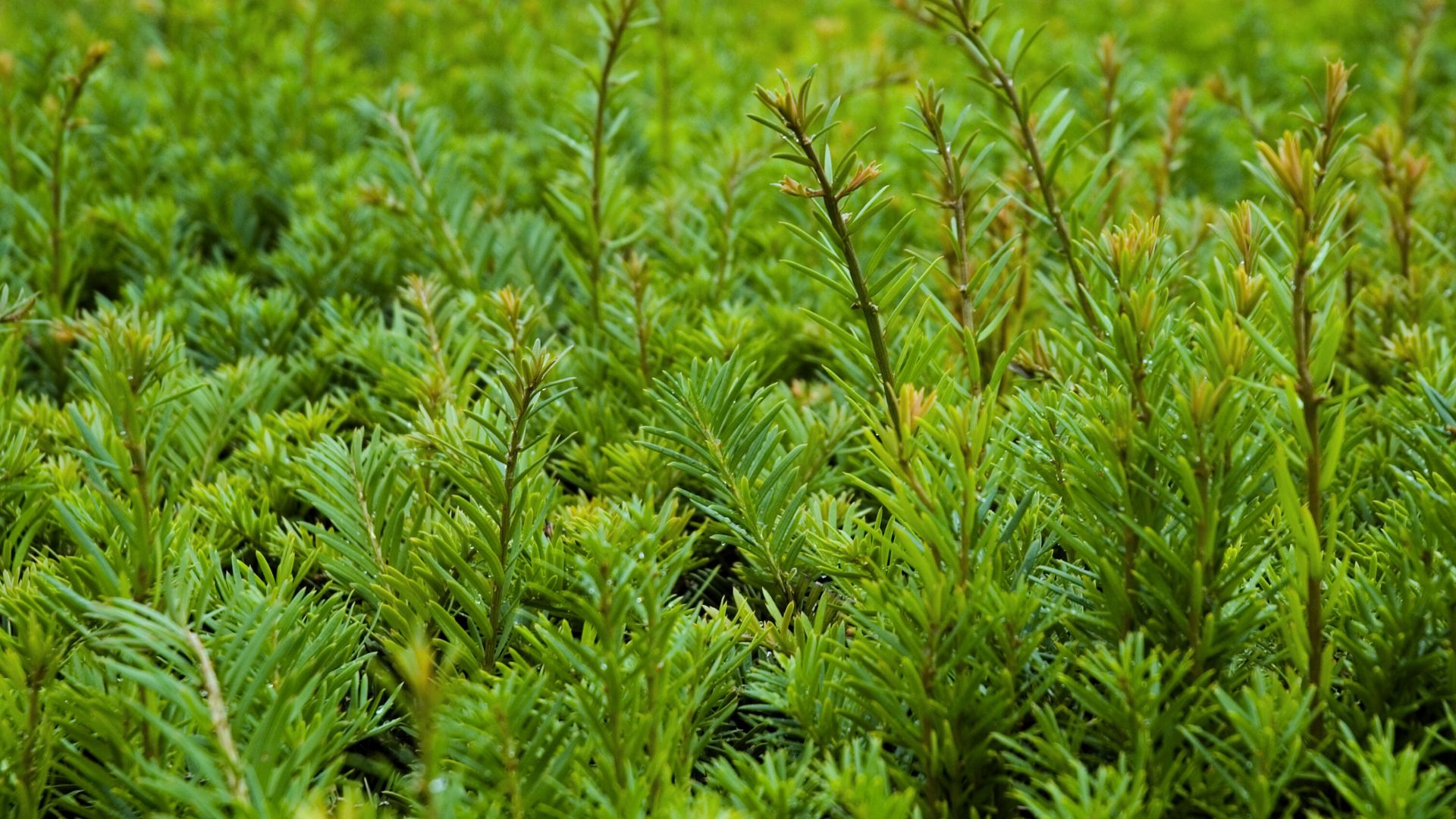 39-Billeder i mails og artikler (1920 × 1080px) - 2024-01-04T142054.989.jpg