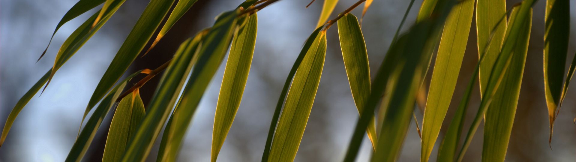 392-til lister (1920 × 540px) (3).jpg