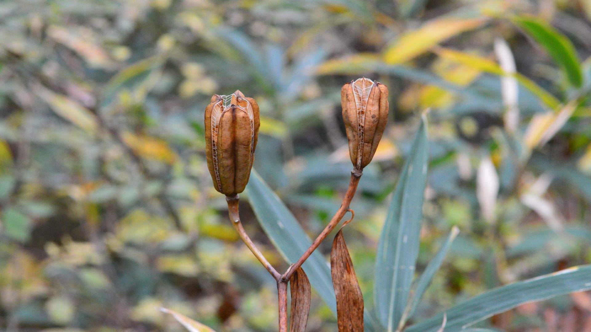 398-Billeder i mails og artikler (1920 × 1080px) - 2024-01-09T100113.882.jpg