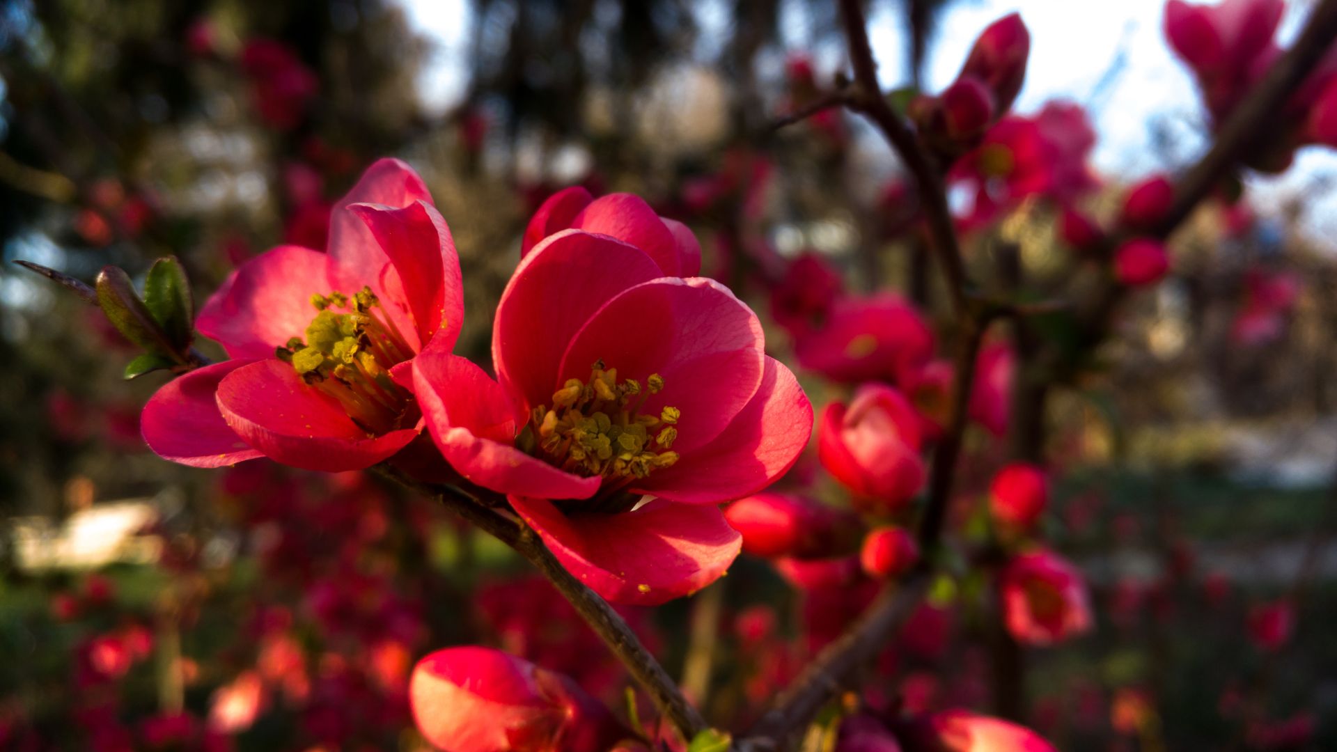 398-Billeder i mails og artikler (1920 × 1080px) - 2024-01-25T131229.332.jpg