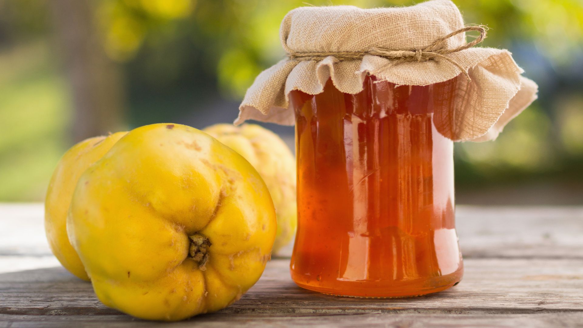 404-Billeder i mails og artikler (1920 × 1080px) - 2024-01-25T130335.354.jpg