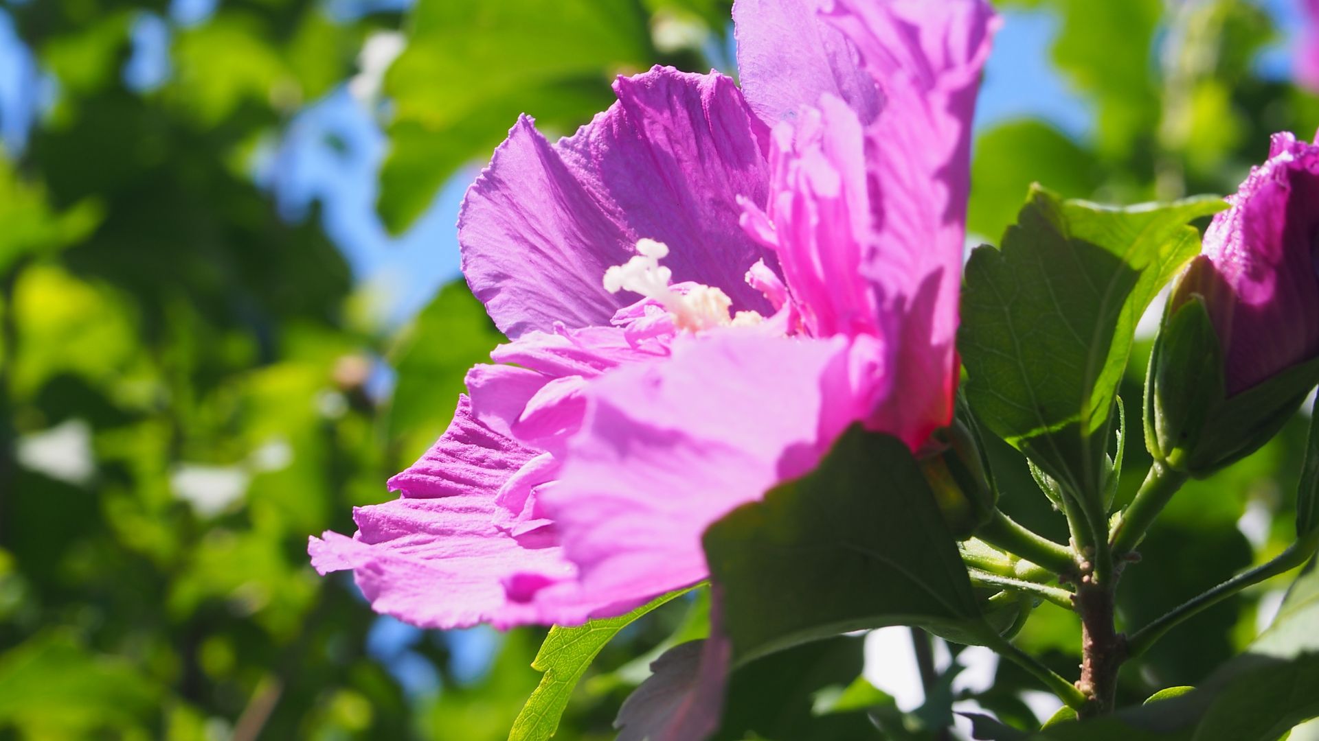 408-Billeder i mails og artikler (1920 × 1080px) - 2023-07-18T105204.313.jpg