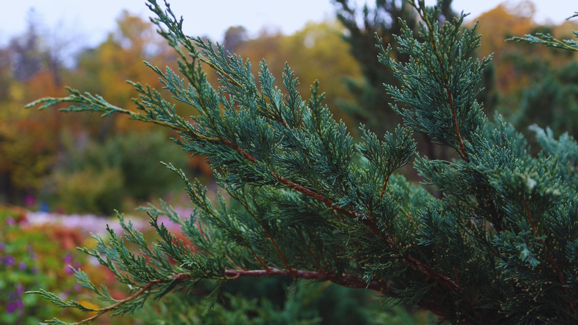 408-Billeder i mails og artikler (1920 × 1080px) - 2023-12-12T121704.733.jpg