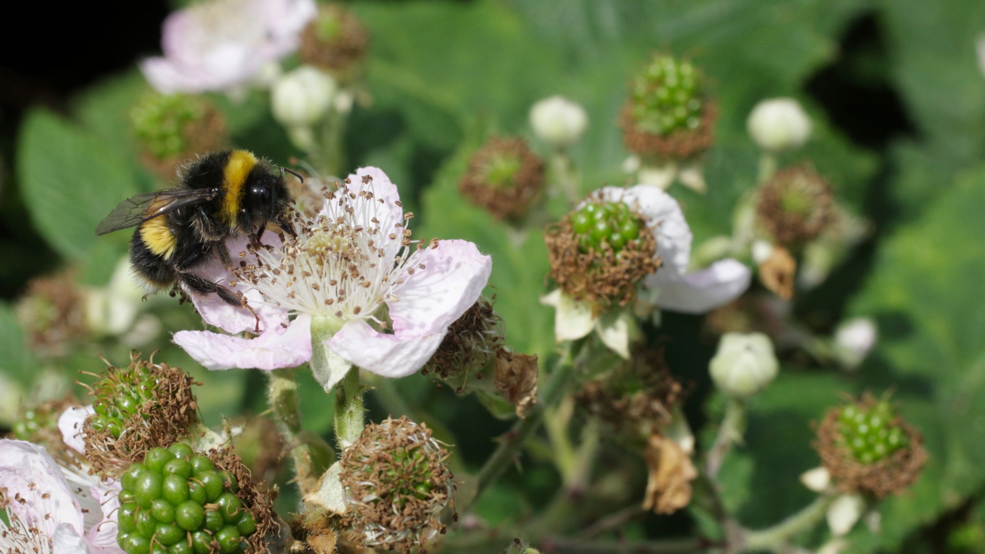 413-Billeder i mails og artikler (1920 × 1080px) - 2024-01-26T144256.790.jpg