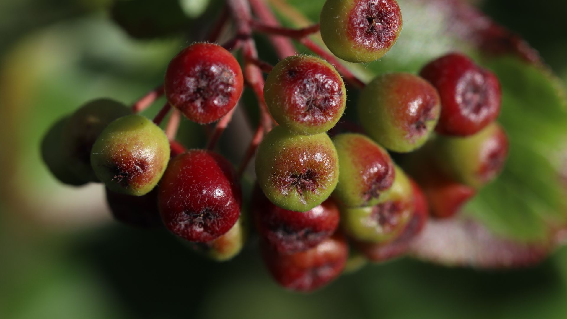 418-Billeder i mails og artikler (1920 × 1080px) - 2023-07-17T100710.604.jpg