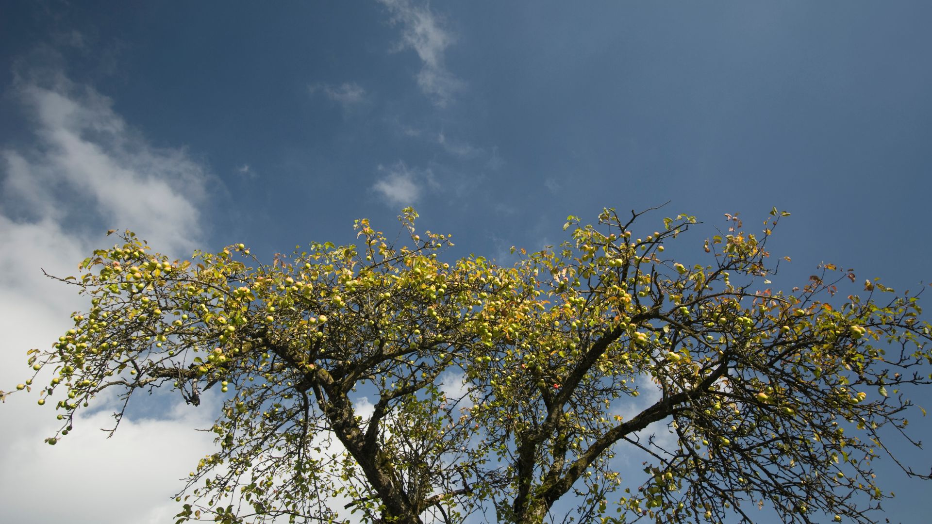 42-Billeder i mails og artikler (1920 × 1080px) - 2024-02-19T160755.123.jpg