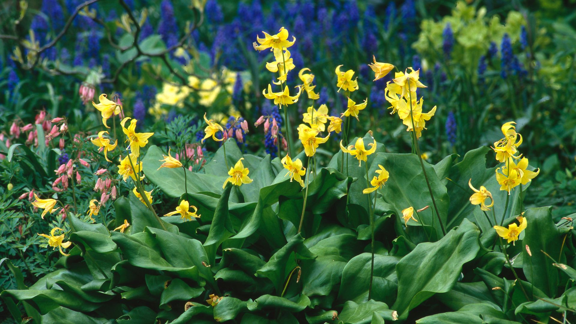 422-Billeder i mails og artikler (1920 × 1080px) - 2023-09-01T121602.569.jpg