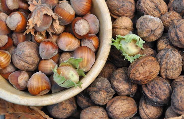 422-forside til haveguides (740 × 480px) (47).jpg