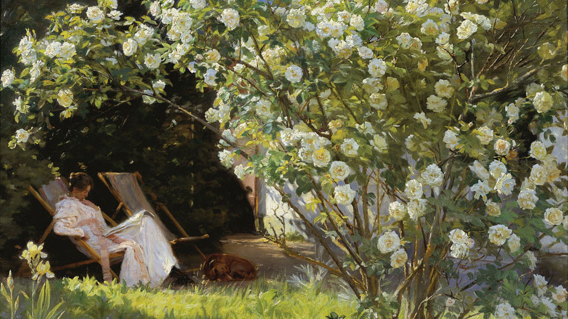 423-Billeder i mails og artikler (1920 × 1080px) - 2023-07-13T103440.026.jpg