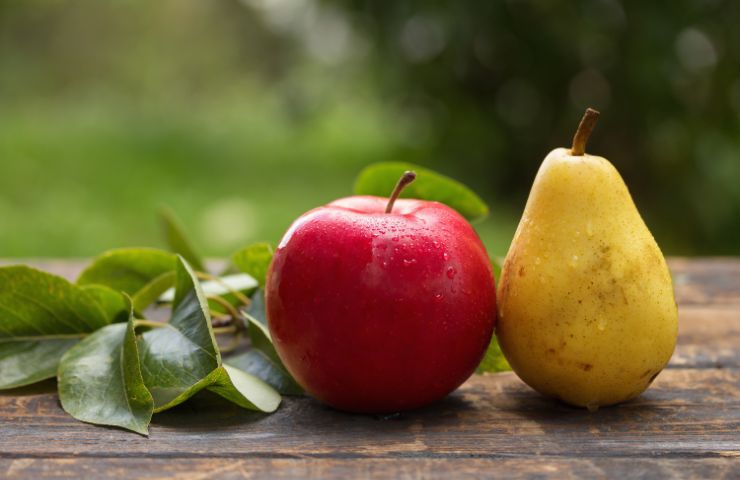 Top 20 - de mest populære fra frugthaven