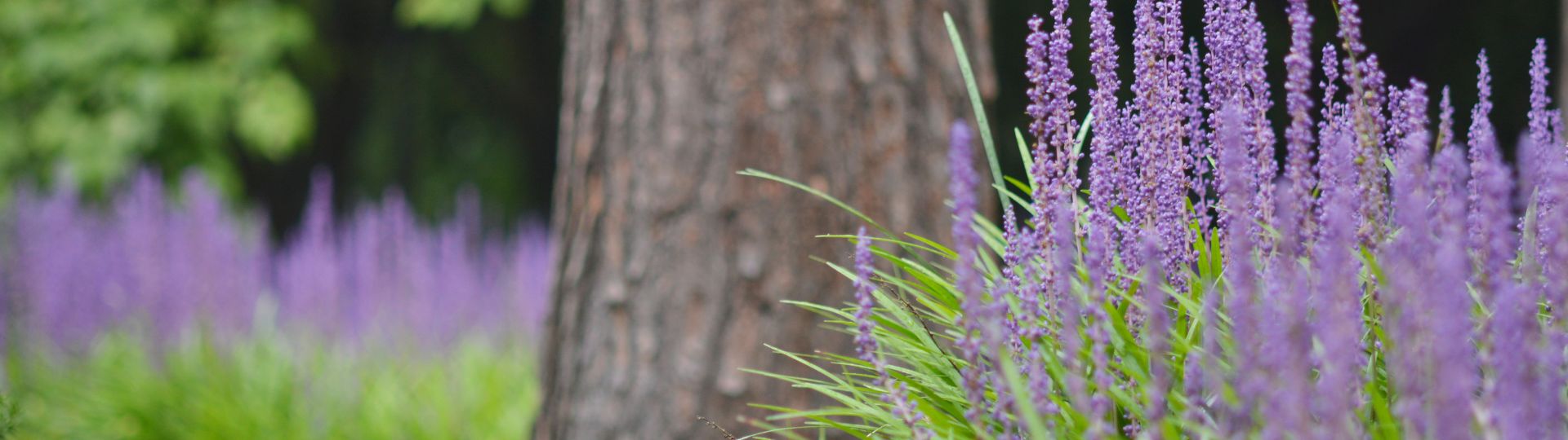 439-til lister (1920 × 540px) (11).jpg