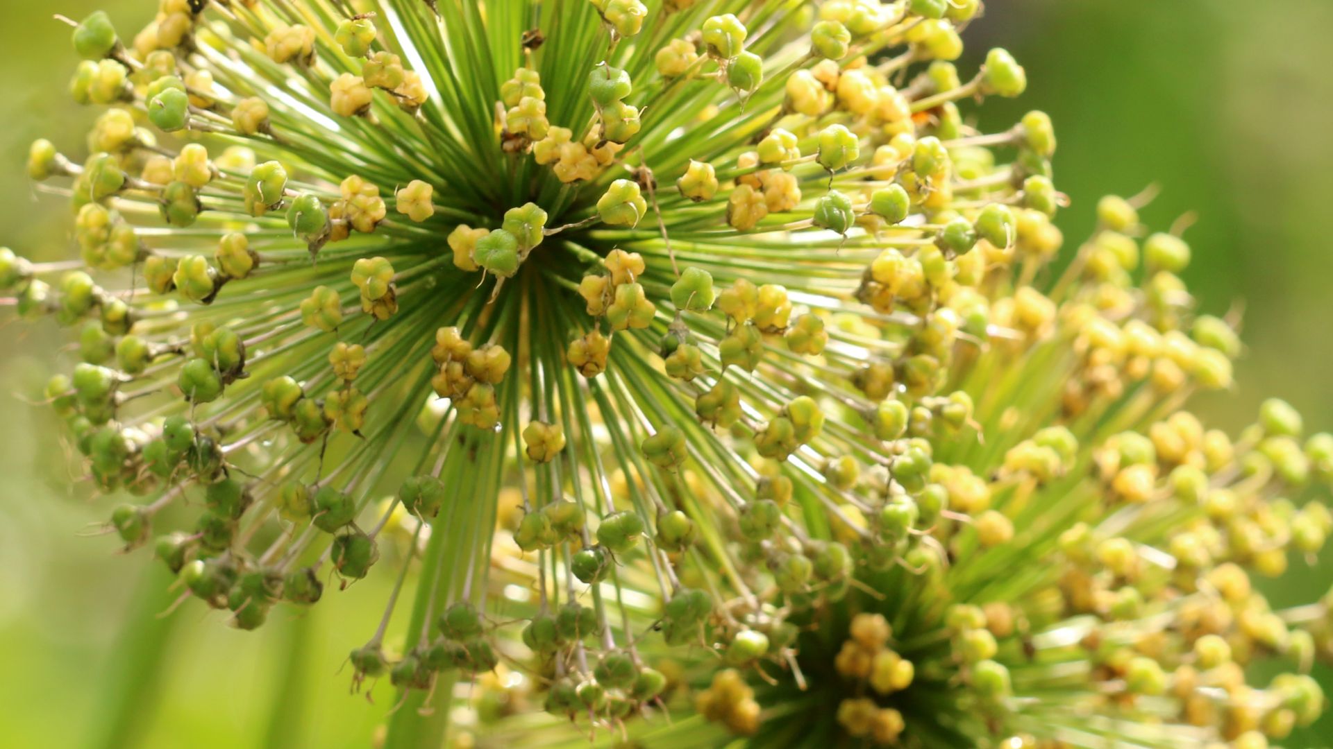 440-Billeder i mails og artikler (1920 × 1080px) (93).jpg