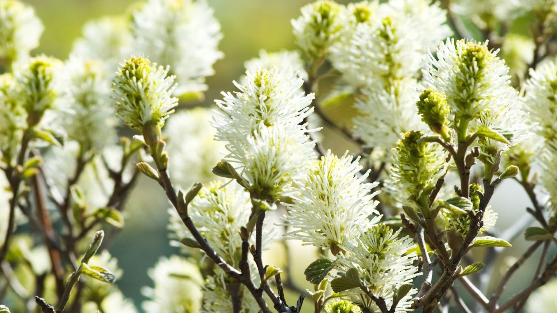 451-Billeder i mails og artikler (1920 × 1080px) (11).jpg