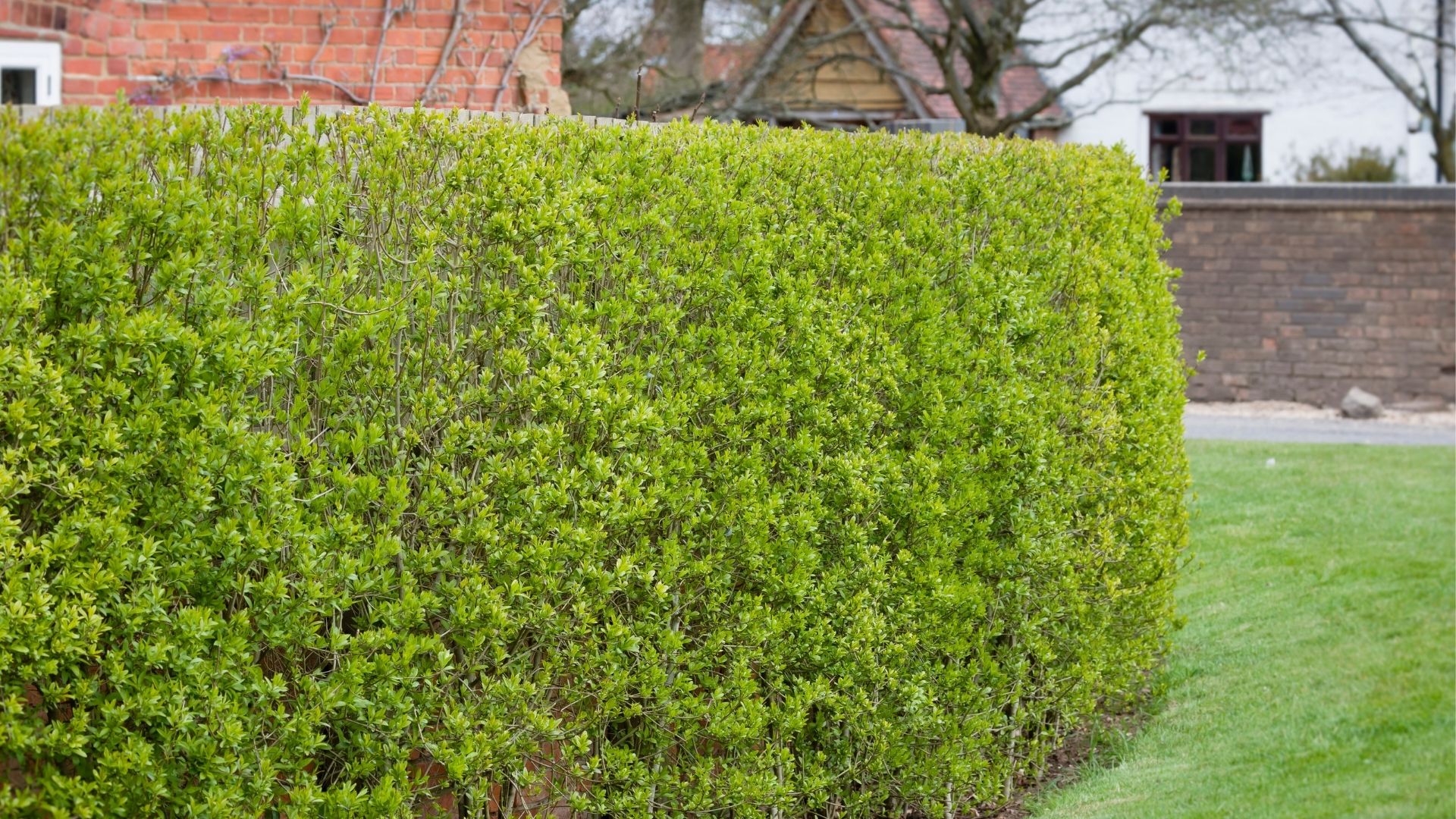 456-Billeder i mails og artikler (1920 × 1080px) (87).jpg