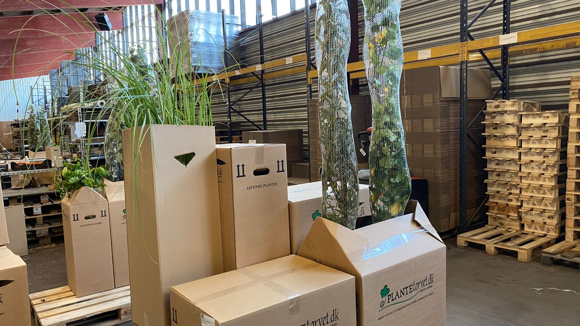 459-Billeder i mails og artikler (1920 × 1080px) - 2023-12-04T083210.097.jpg