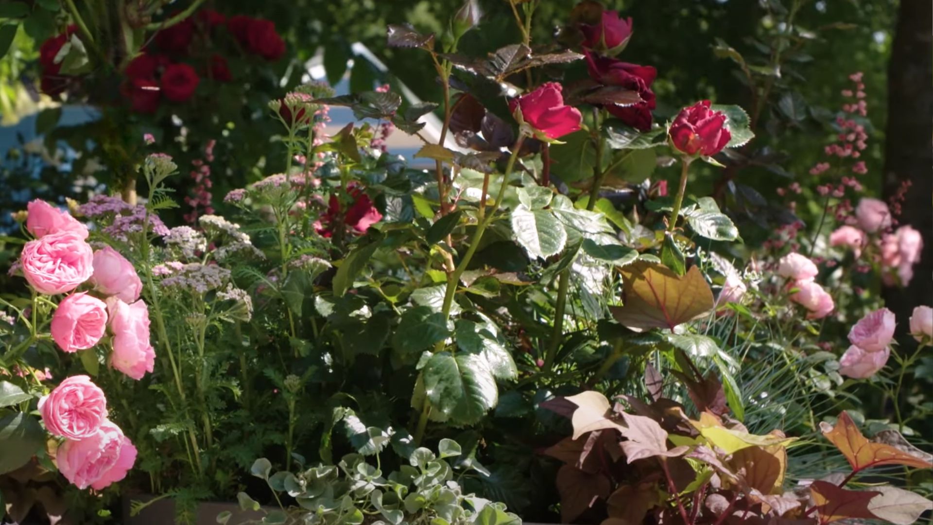 461-Billeder i mails og artikler (1920 × 1080px) (17).jpg