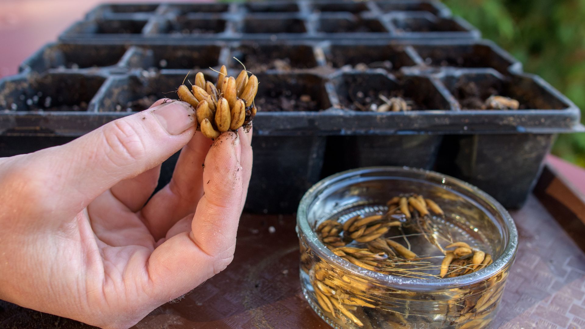 462-Billeder i mails og artikler (1920 × 1080px) (29).jpg