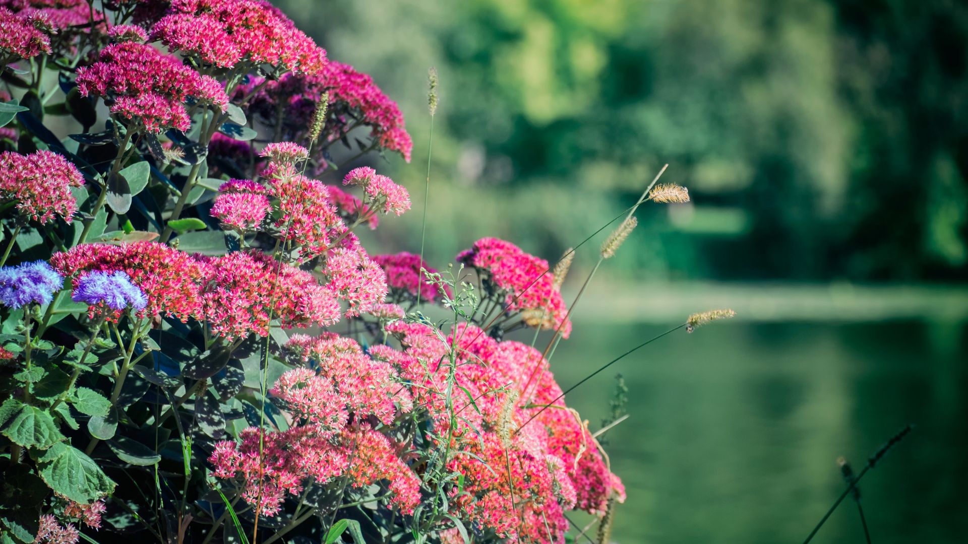 464-Billeder i mails og artikler (1920 × 1080px) (56).jpg