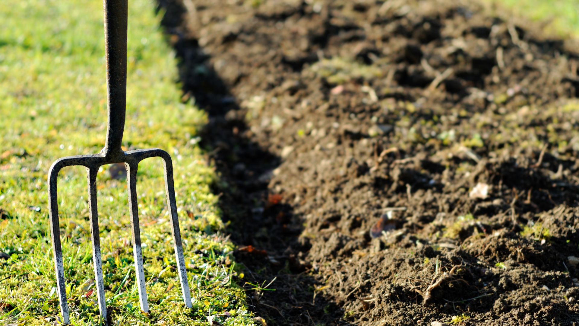 466-Billeder i mails og artikler (1920 × 1080px) (100).jpg