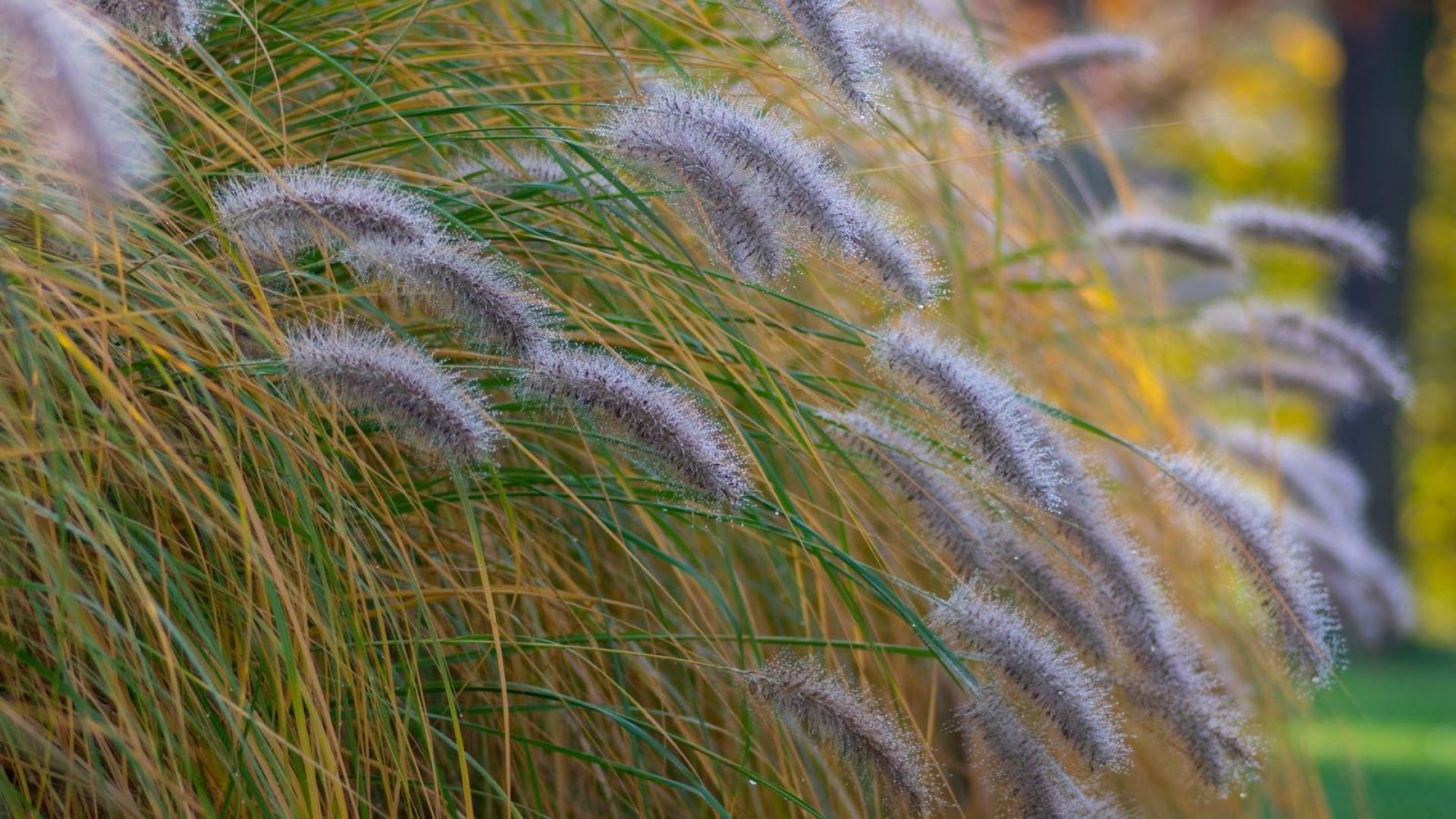 467-Billeder i mails og artikler (1920 × 1080px) (44).jpg