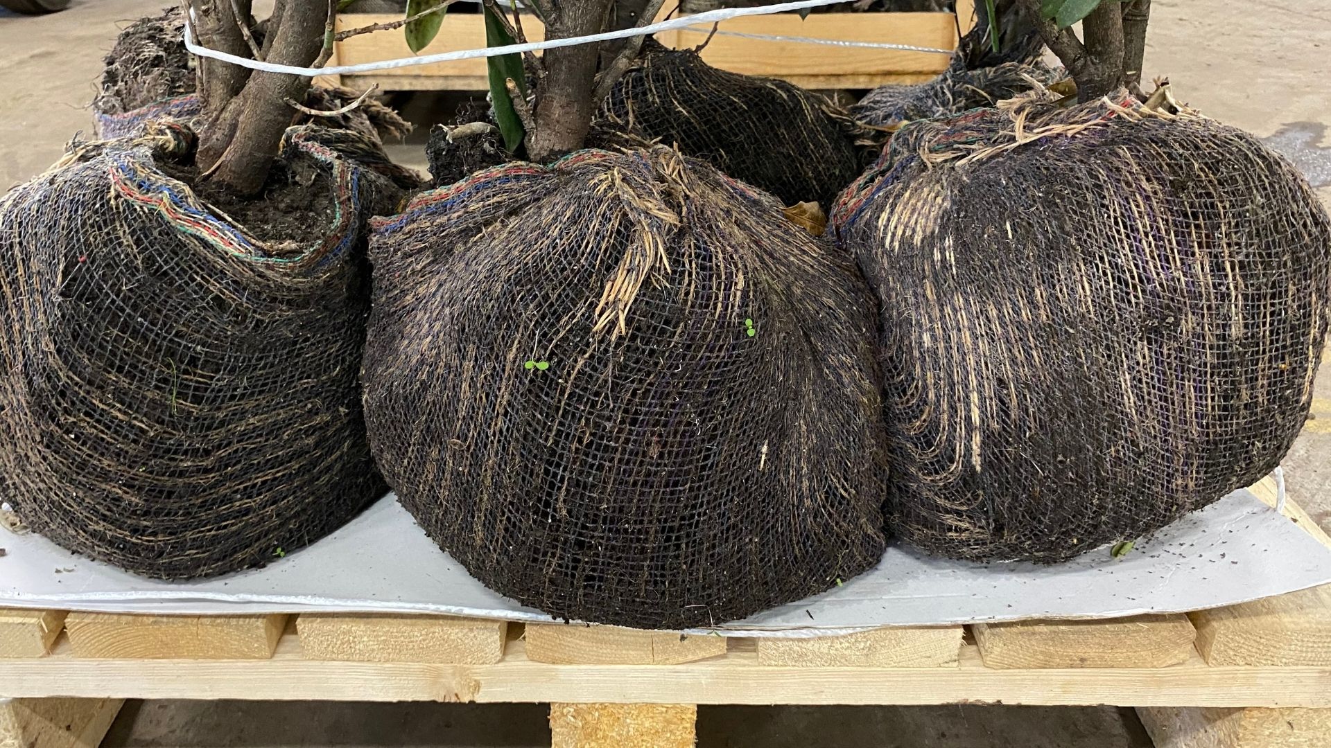 470-Billeder i mails og artikler (1920 × 1080px) (76).jpg