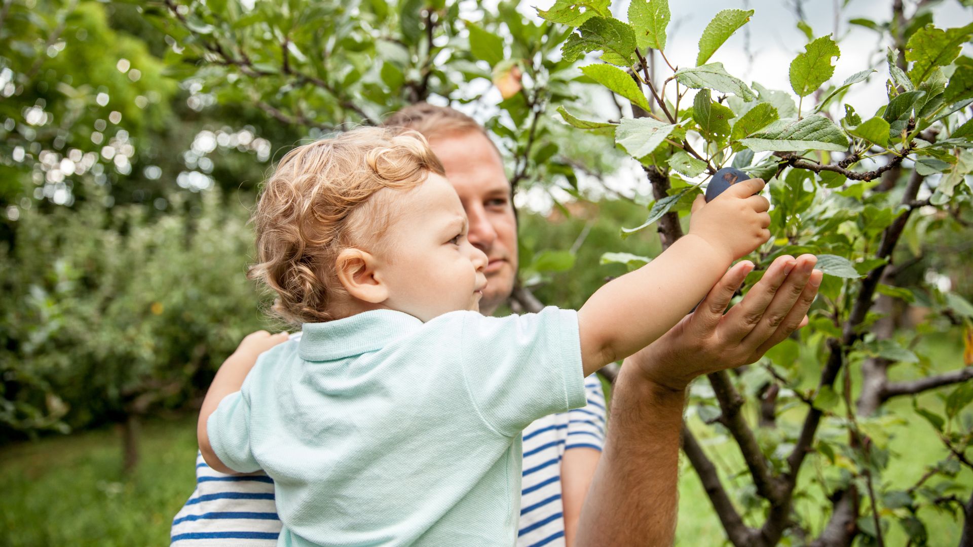 474-Billeder i mails og artikler (1920 × 1080px) - 2024-02-07T122202.723.jpg