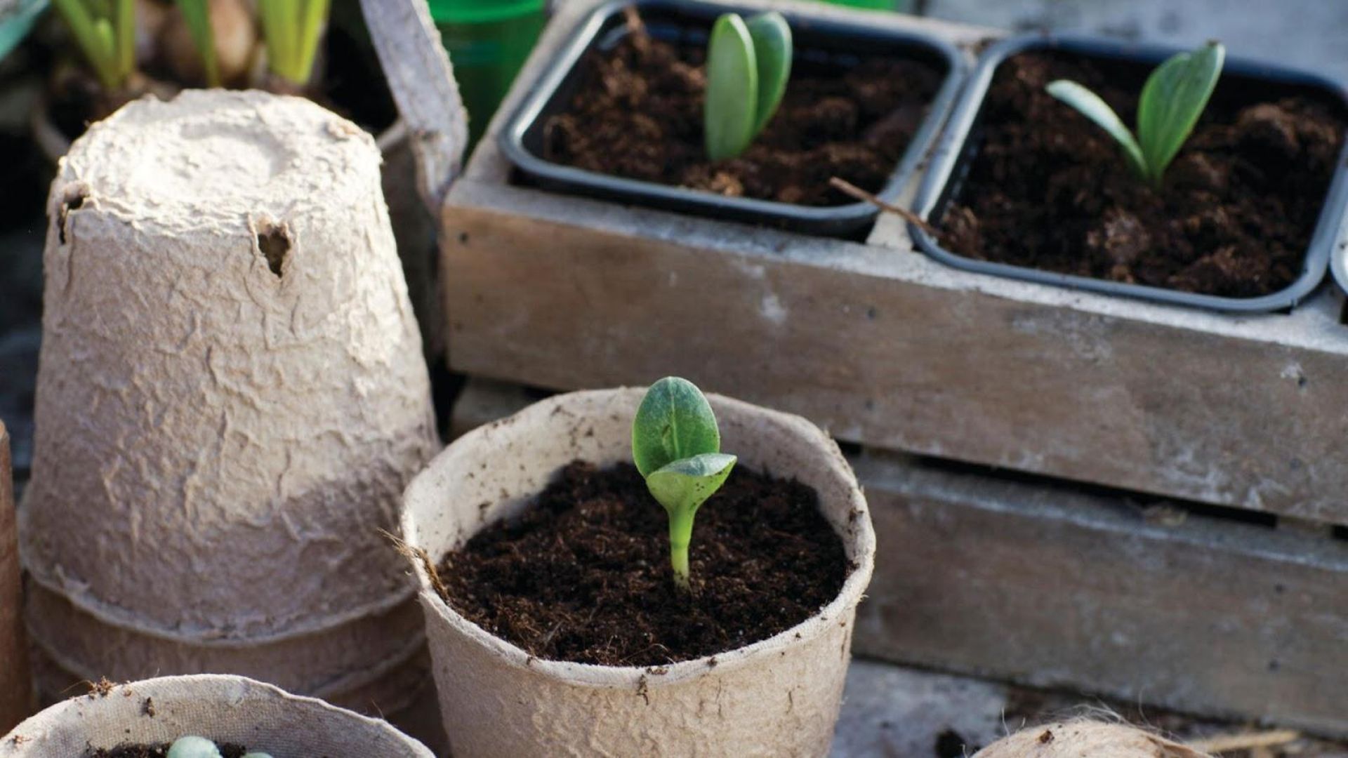 479-Billeder i mails og artikler (1920 × 1080px) (49).jpg