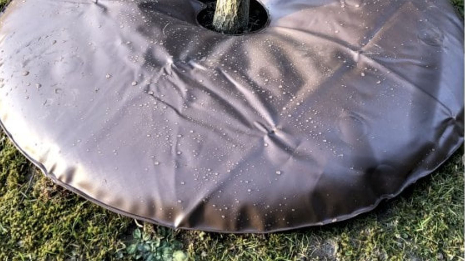 479-Billeder i mails og artikler (1920 × 1080px) - 2023-10-31T123820.295.jpg