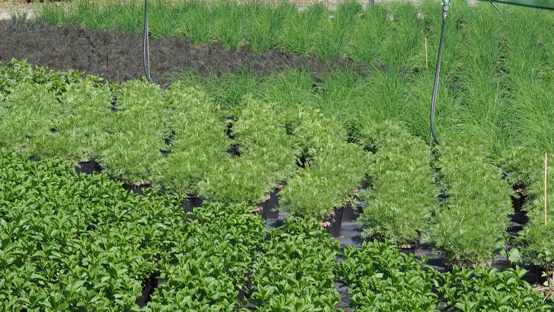 481-Billeder i mails og artikler (1920 × 1080px) (21).jpg