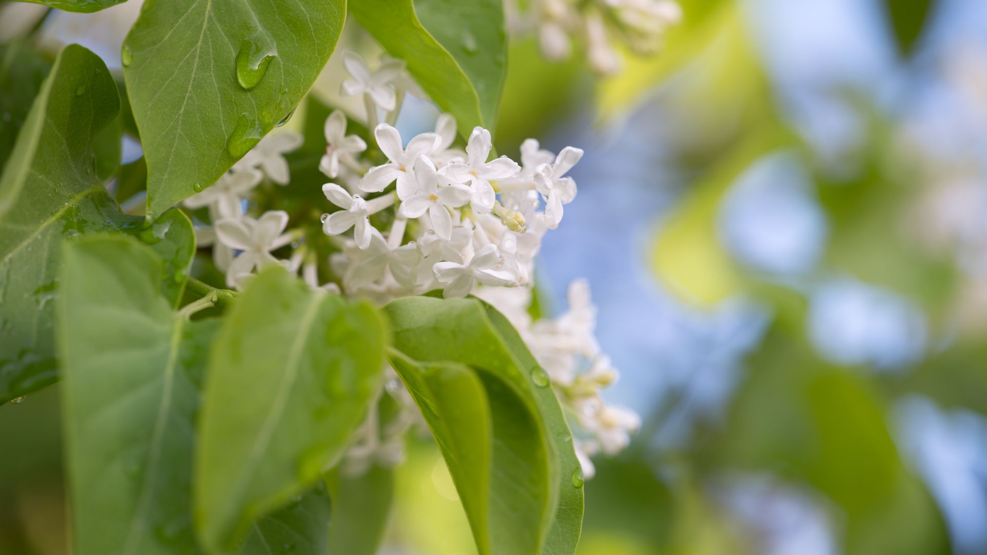 484-Billeder i mails og artikler (1920 × 1080px) - 2024-01-04T083211.978.jpg