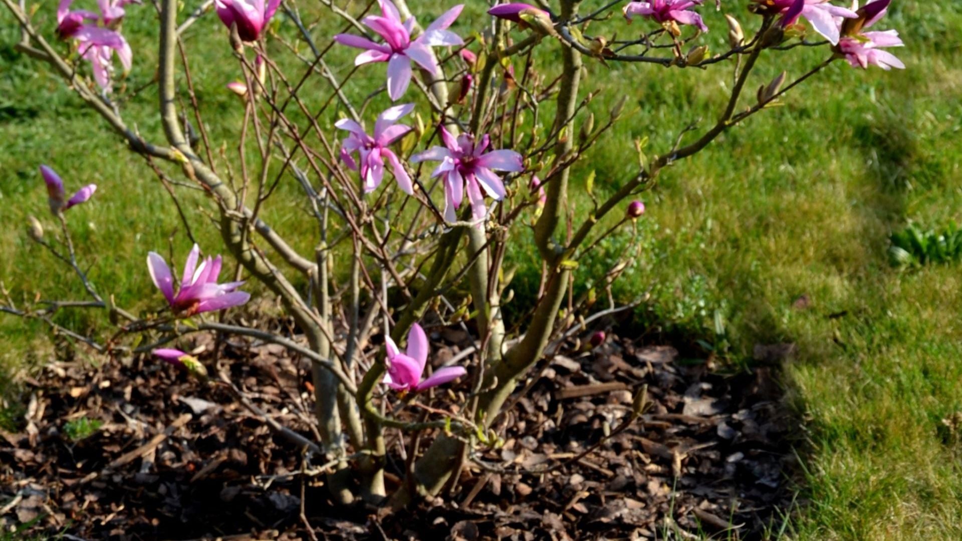 49-Billeder i mails og artikler (1920 × 1080px) - 2023-10-31T122814.331.jpg