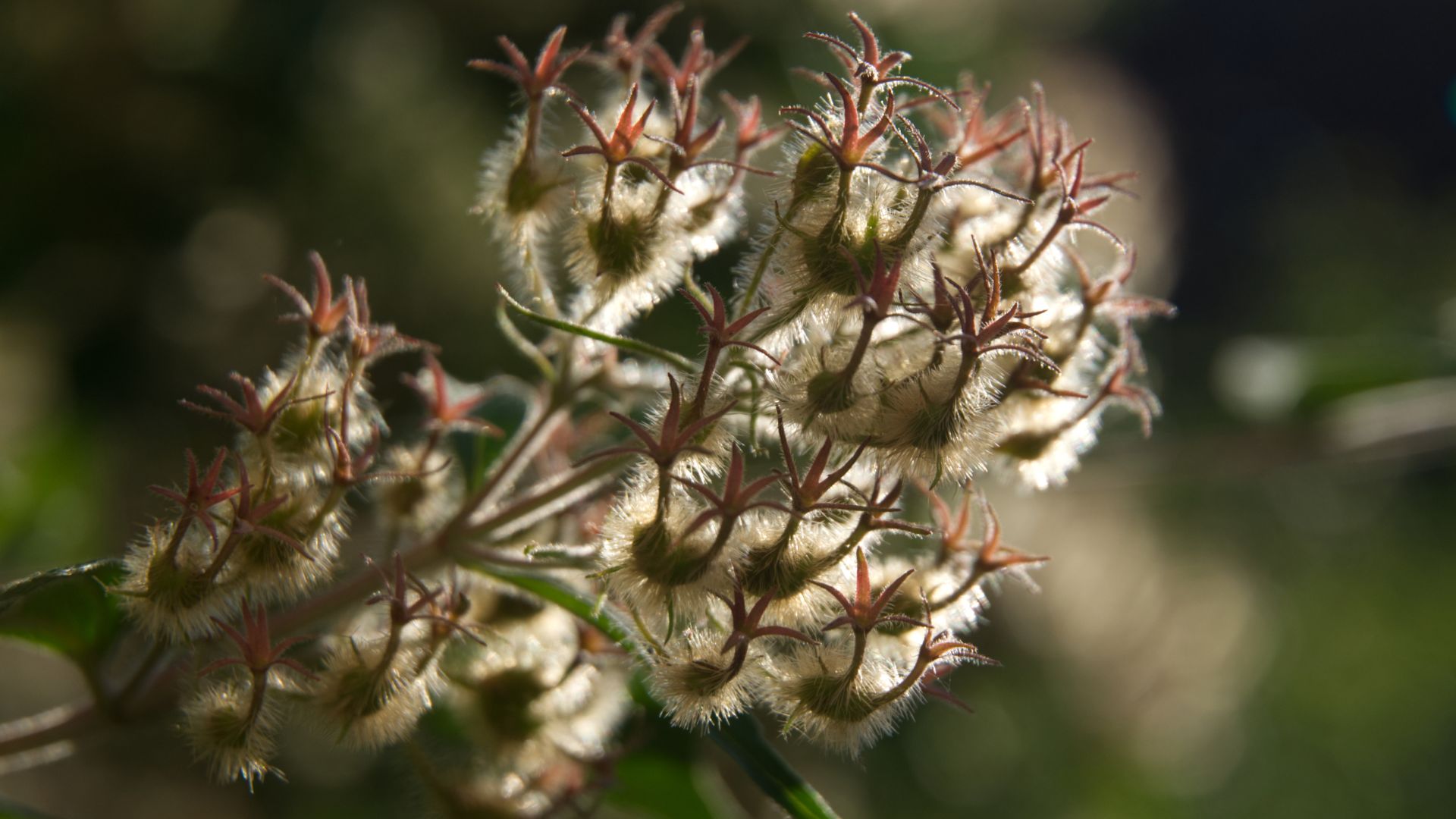 494-Billeder i mails og artikler (1920 × 1080px) - 2024-01-03T152955.872.jpg