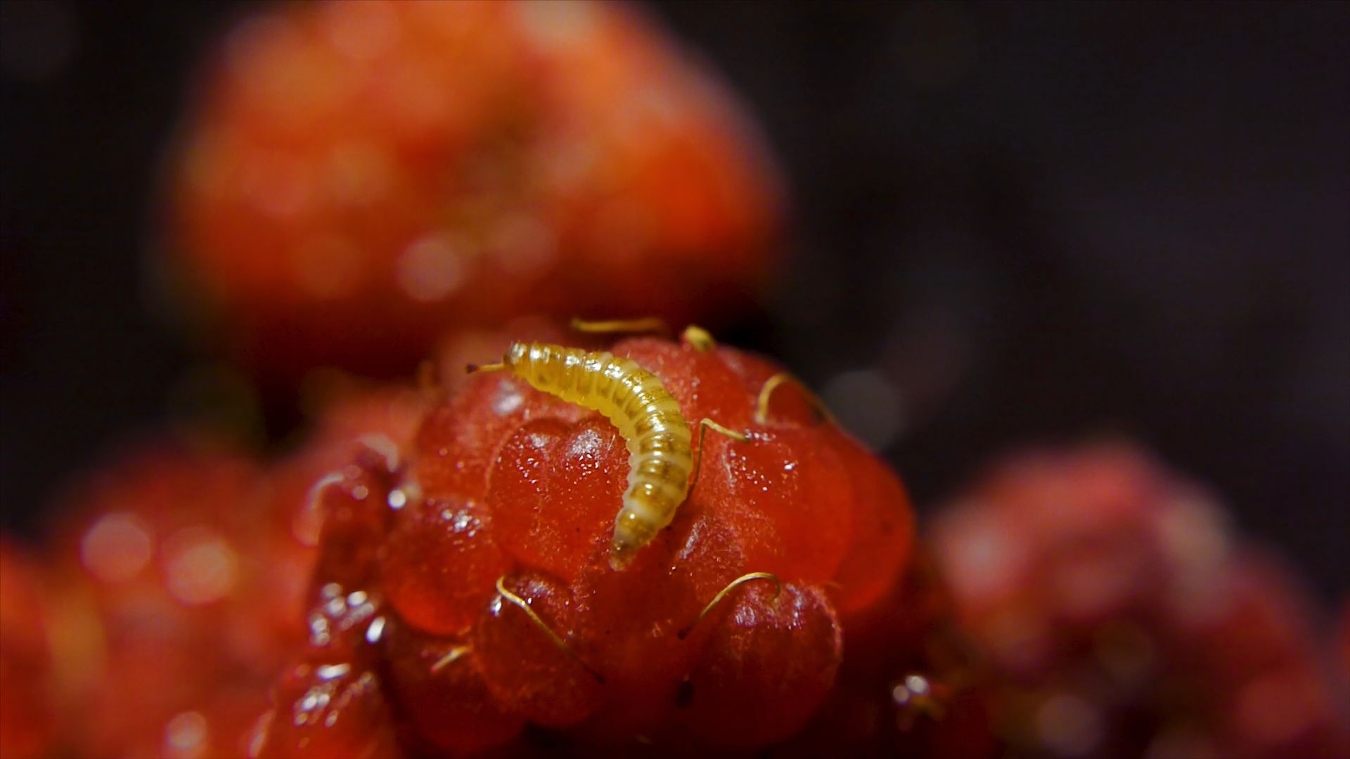 498-Billeder i mails og artikler (1920 × 1080px) - 2024-01-25T144033.693.jpg