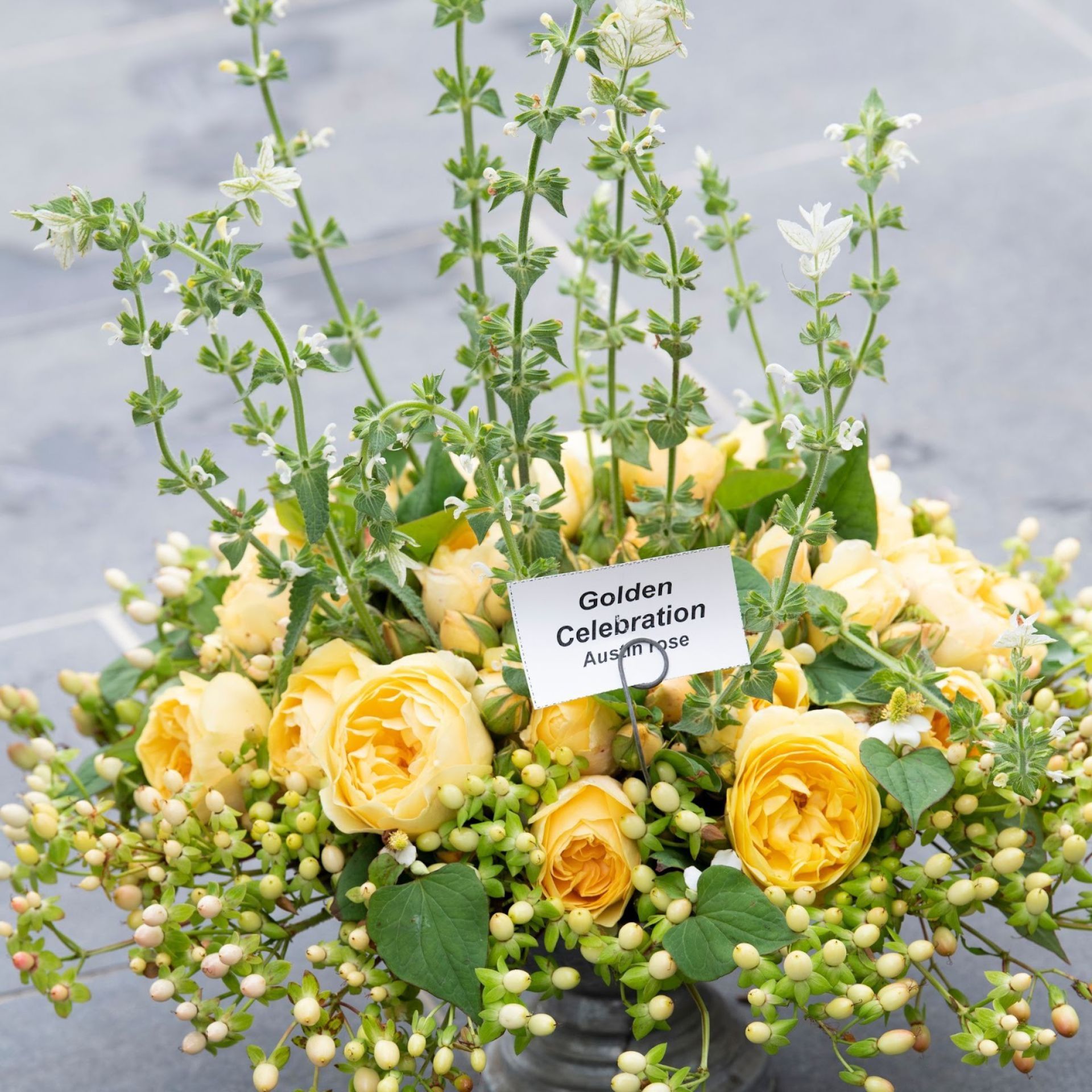 500-Unavngivet (1920 × 1920px) (12).jpg